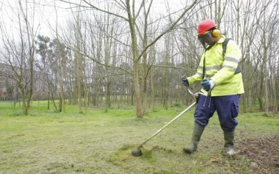 El Ayuntamiento de Avilés revisará las cláusulas sociales para aplicarlas a más contratos