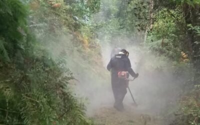 Vedelar, adjudicataria del contrato de limpieza y conservación de caminos de Avilés
